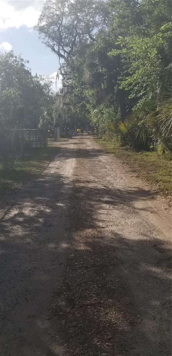 Long peaceful driveway on private road