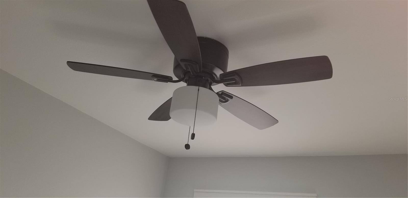 new ceiling fans throghout