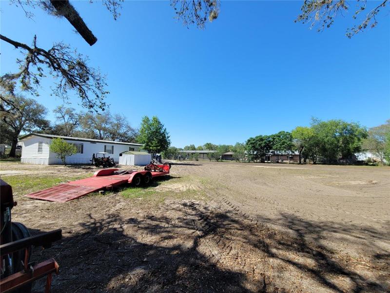 back yard