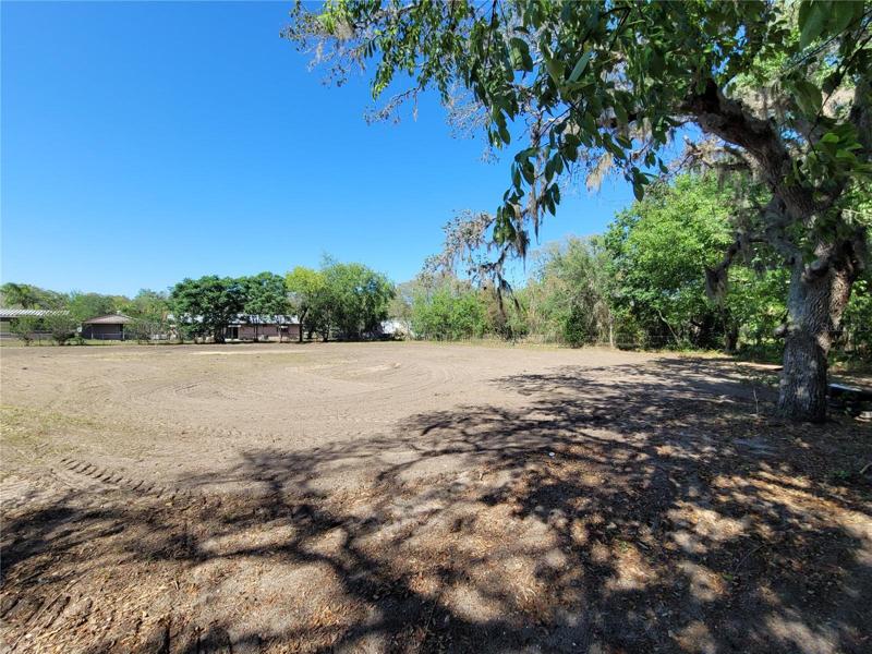 back yard