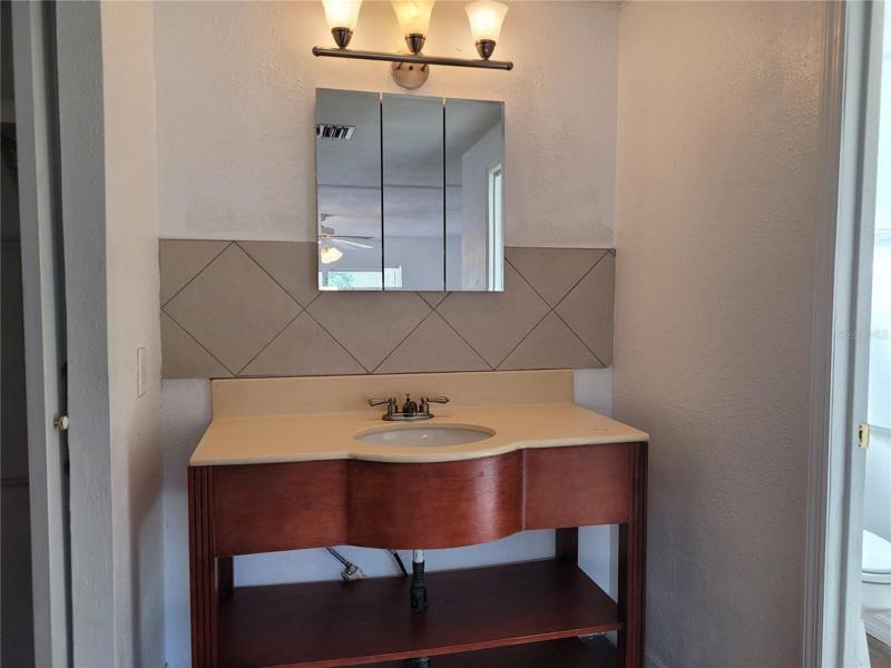 Master Bathroom vanity