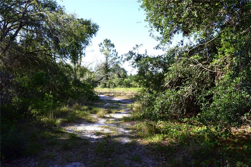 dirt road