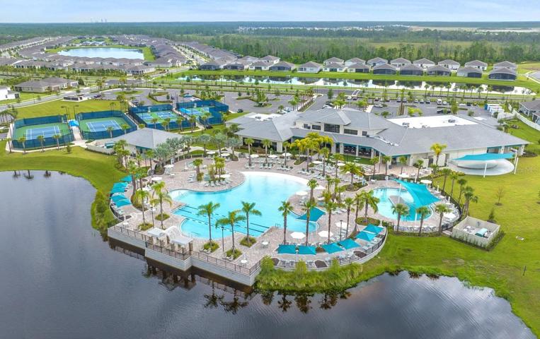 Amazing Amenities