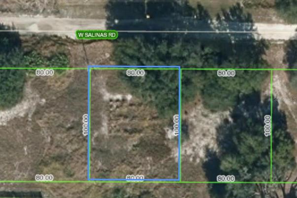 1713 W SALINAS RD, Avon Park Close
