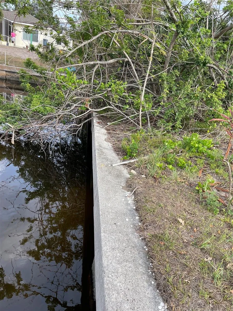 Concrete Seawall