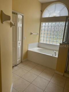 Master bathroom tub