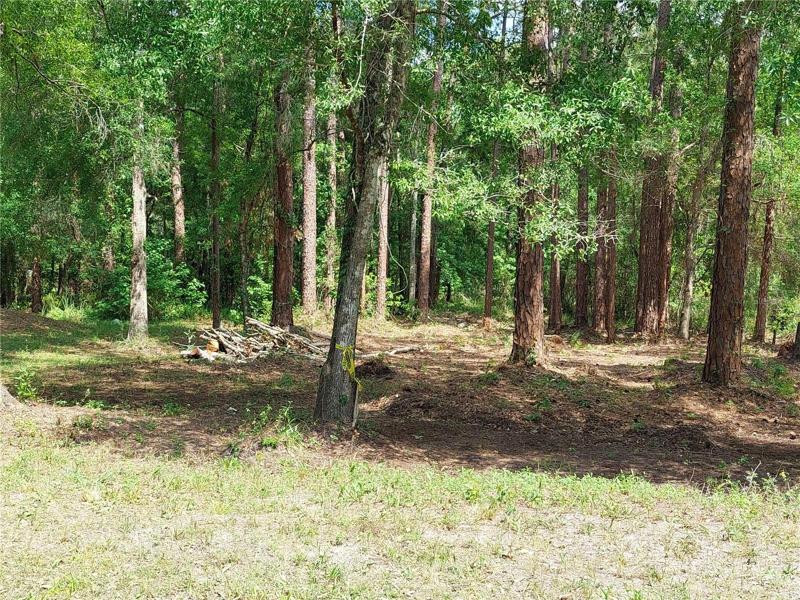 This half acre could be divided into 2 home sites