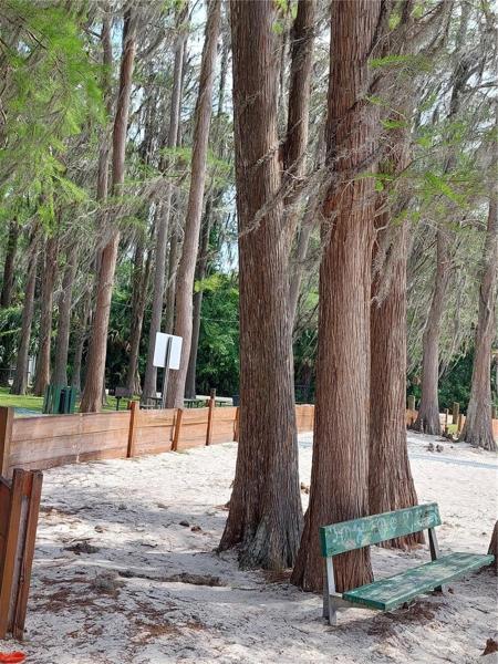 A peaceful spot to read a book