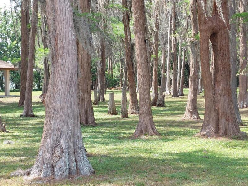 Gorgeous grounds at this Park. Just look at the Trees!!
