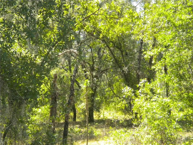 1.03 acres in park like setting