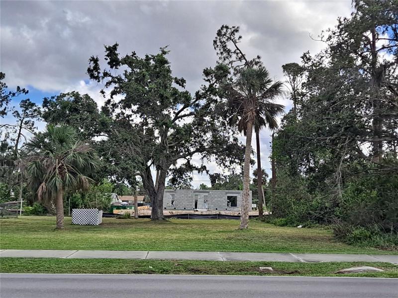 Beautiful cleared and established lot