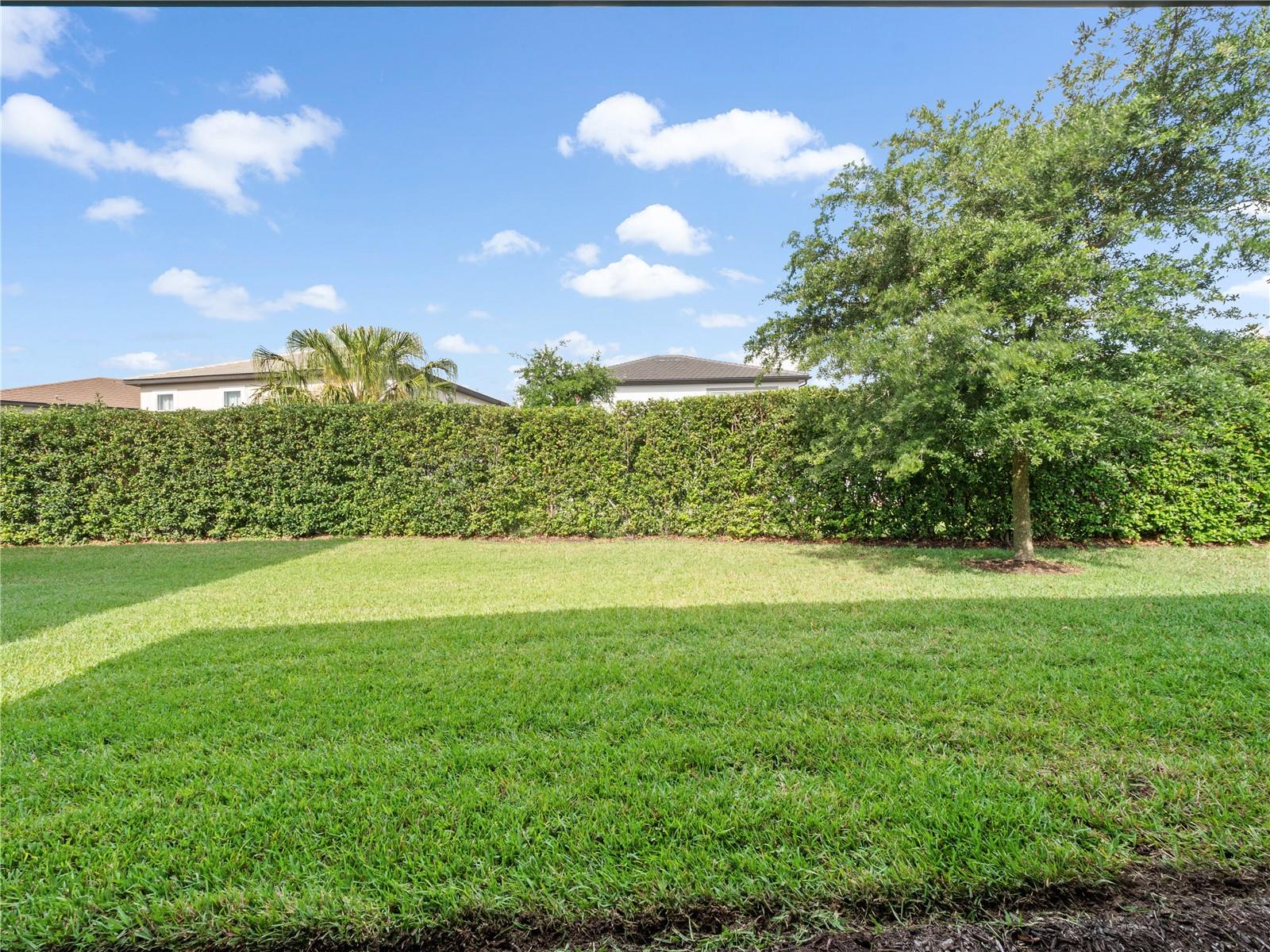 YARD