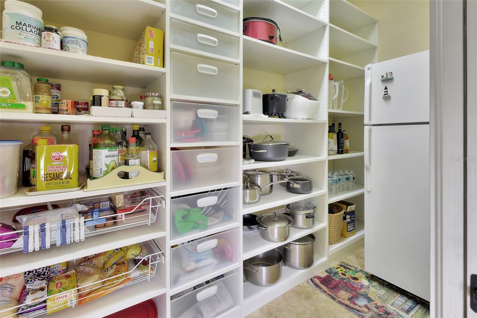 Pantry with fridge