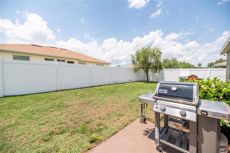 Backyard