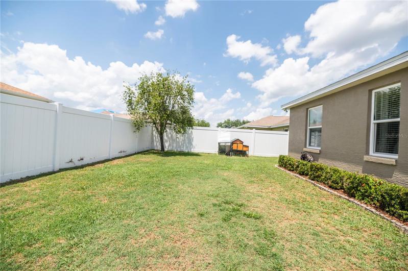 Large fenced yard