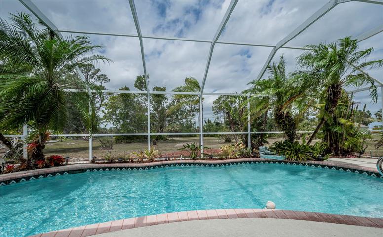 Inviting pool with a view!