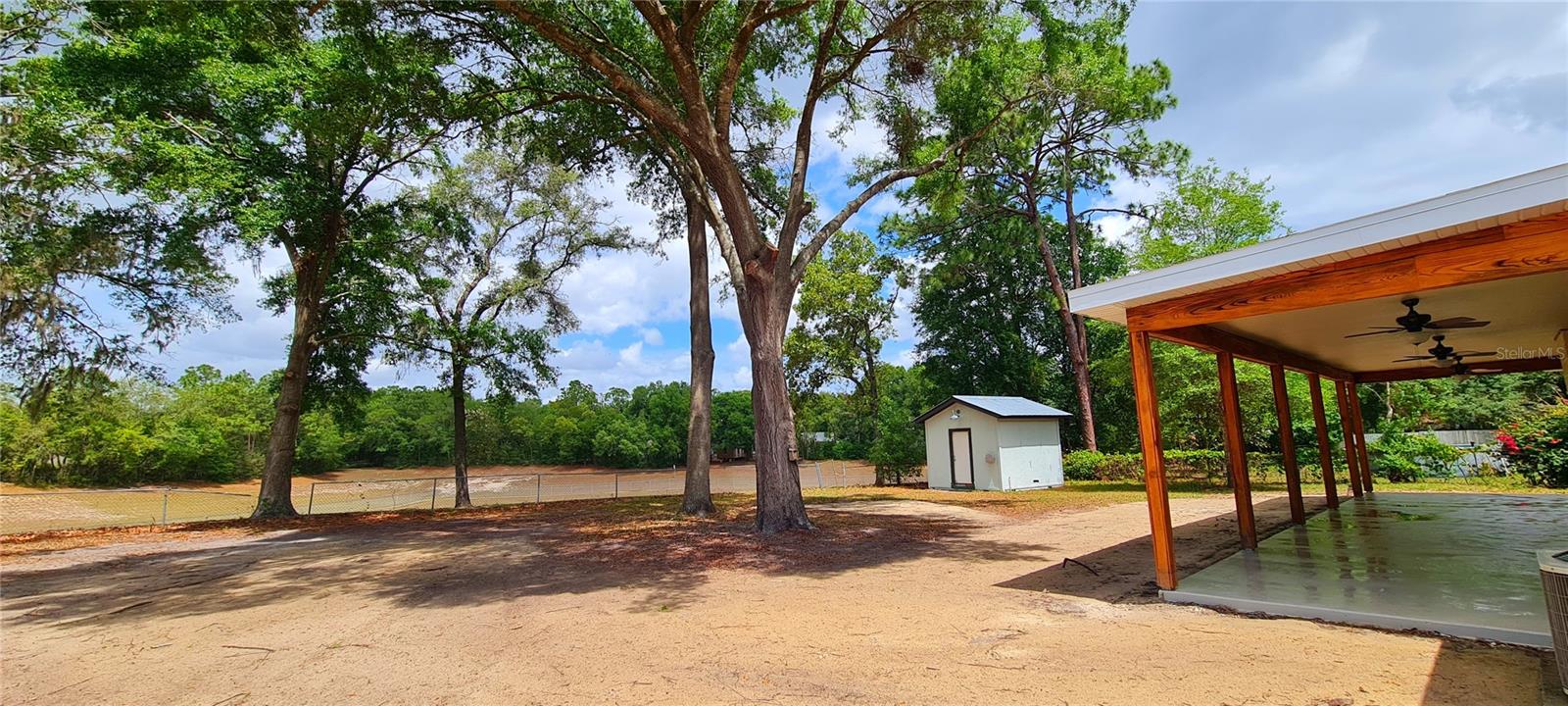 Back Yard