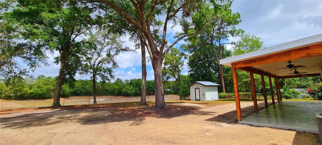 Back Yard