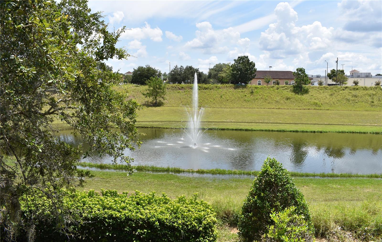 Ornamental Fountain View