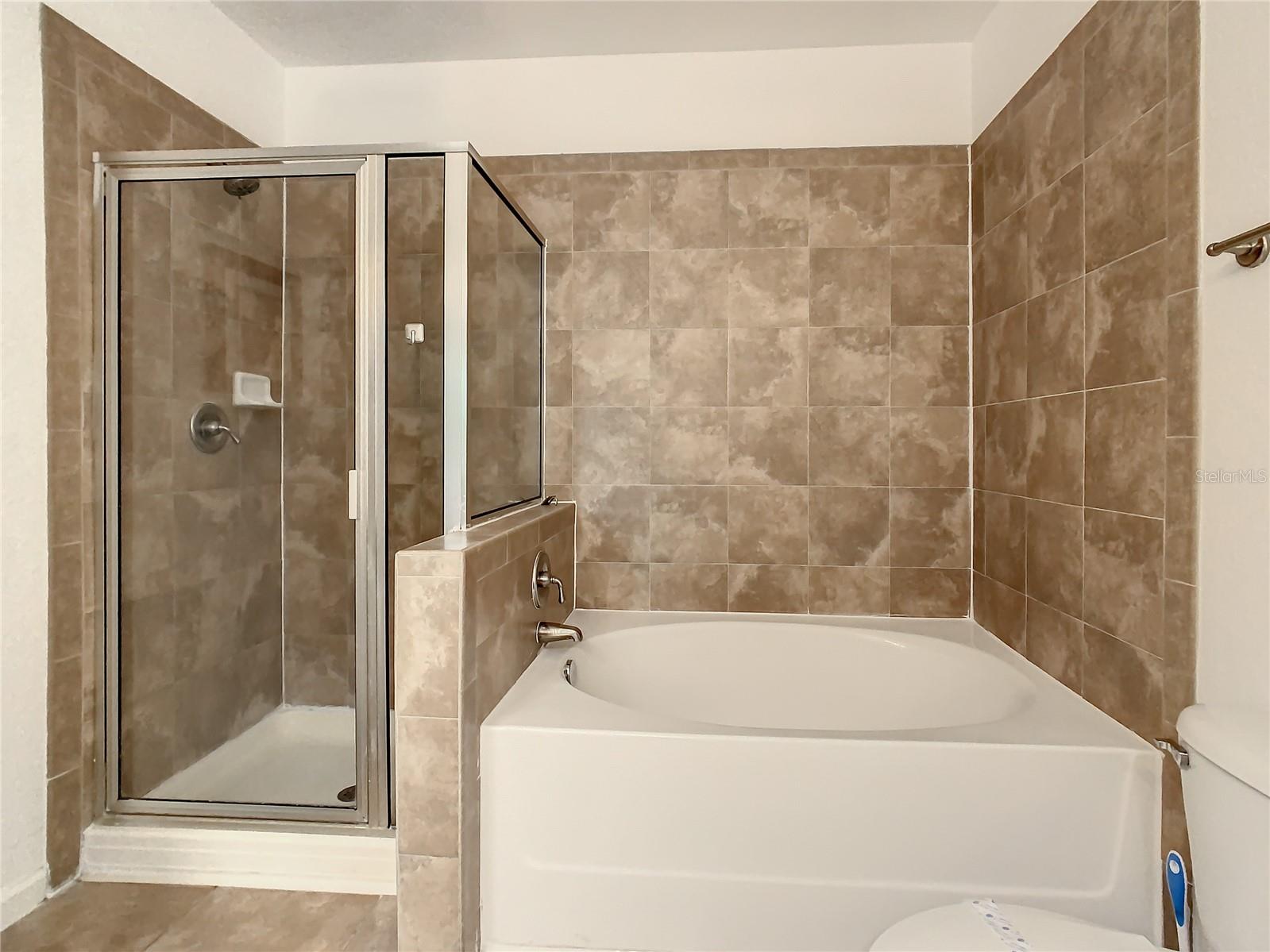 Master bathroom view 1