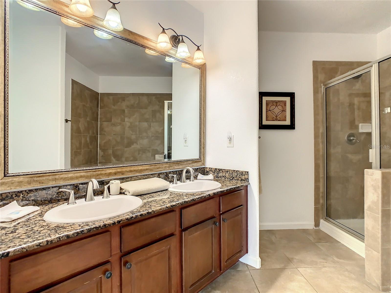 Master bathroom view 2