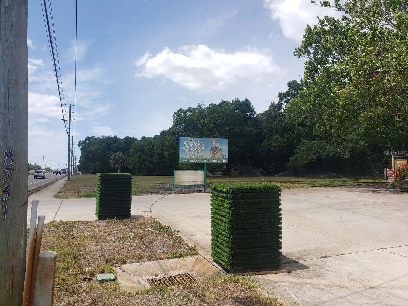 New Port Richey, Florida 34654, 0 , 0 ,0,Commercial Sale,For Sale,RIDGE RD,0,T3439437