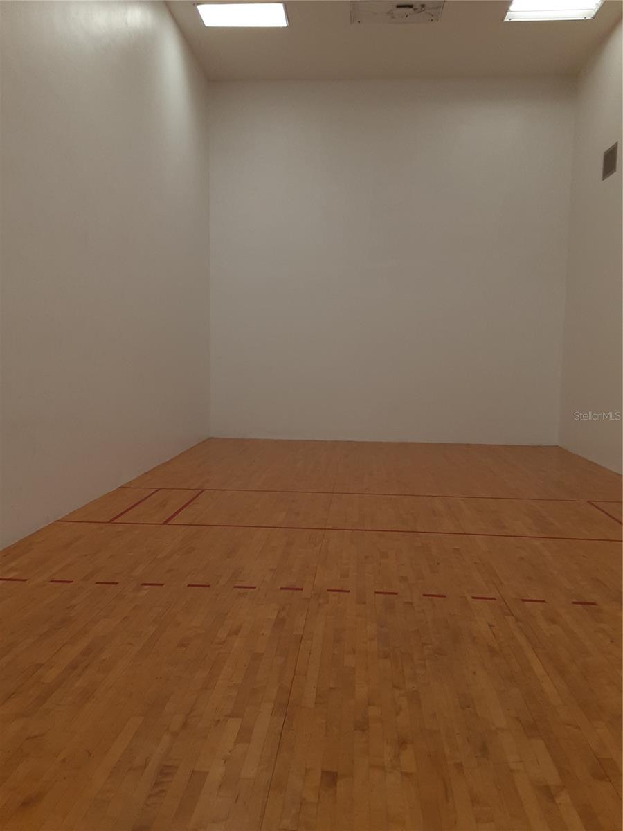 racketball!