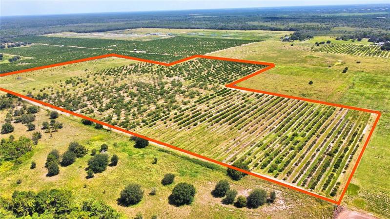 44.89 Acres