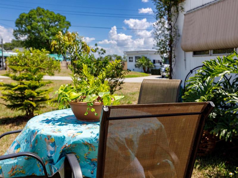 Side Porch