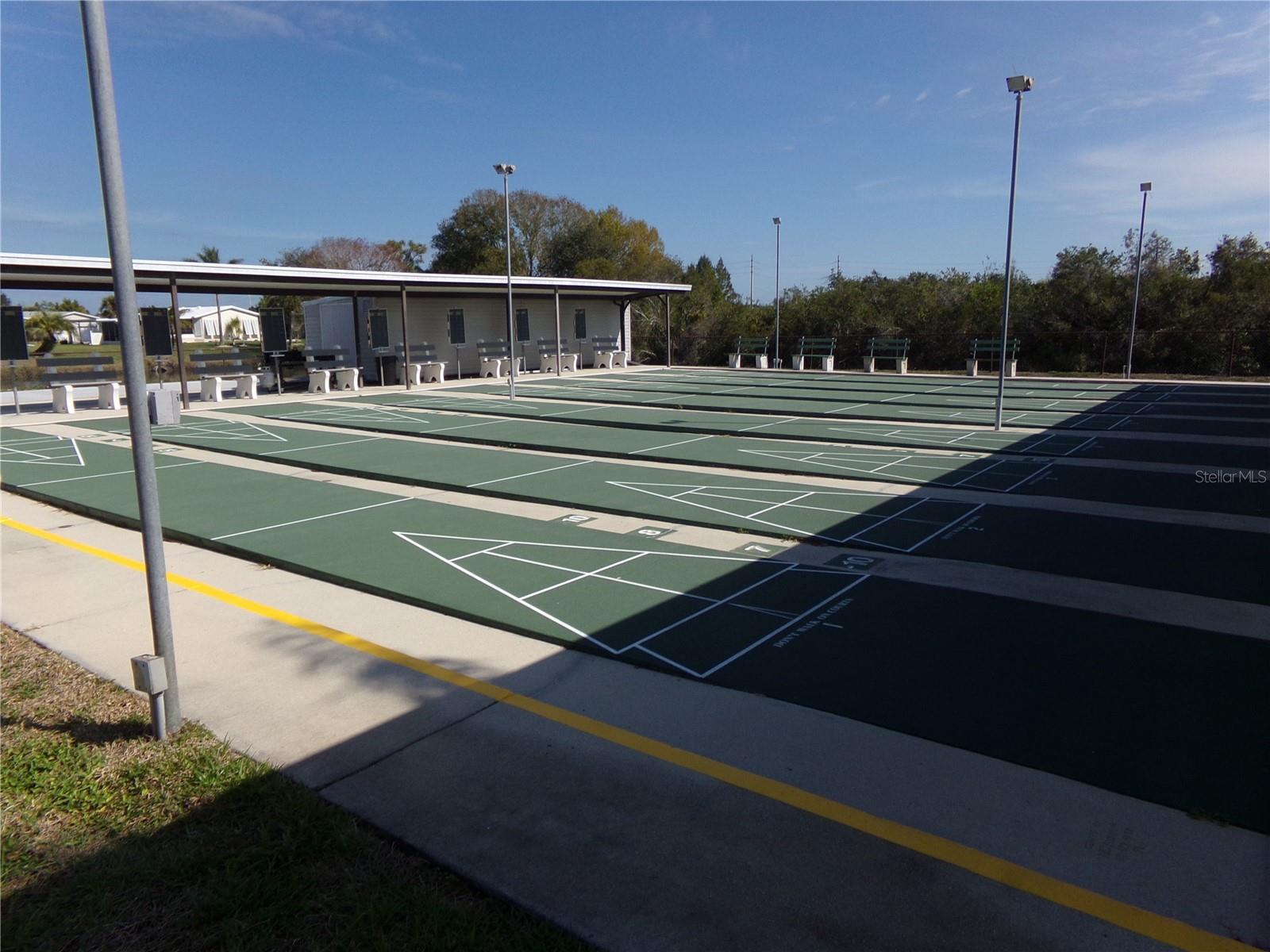 Shuffleboard Anyone