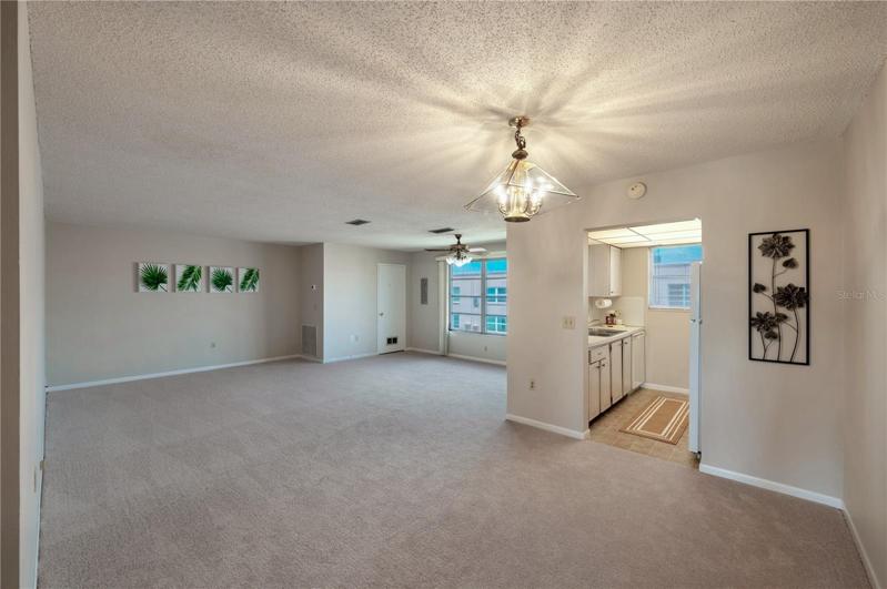 Spacious Living Room