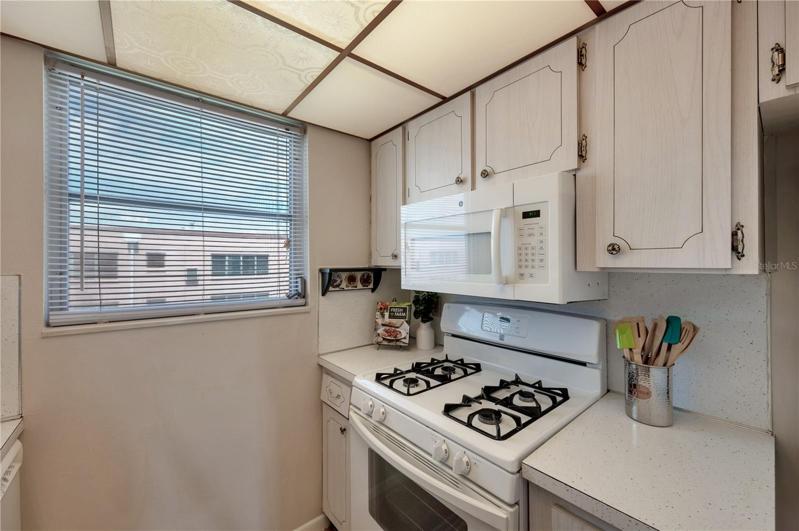 Gas Stove - Gas is Included in Maint. Fee!