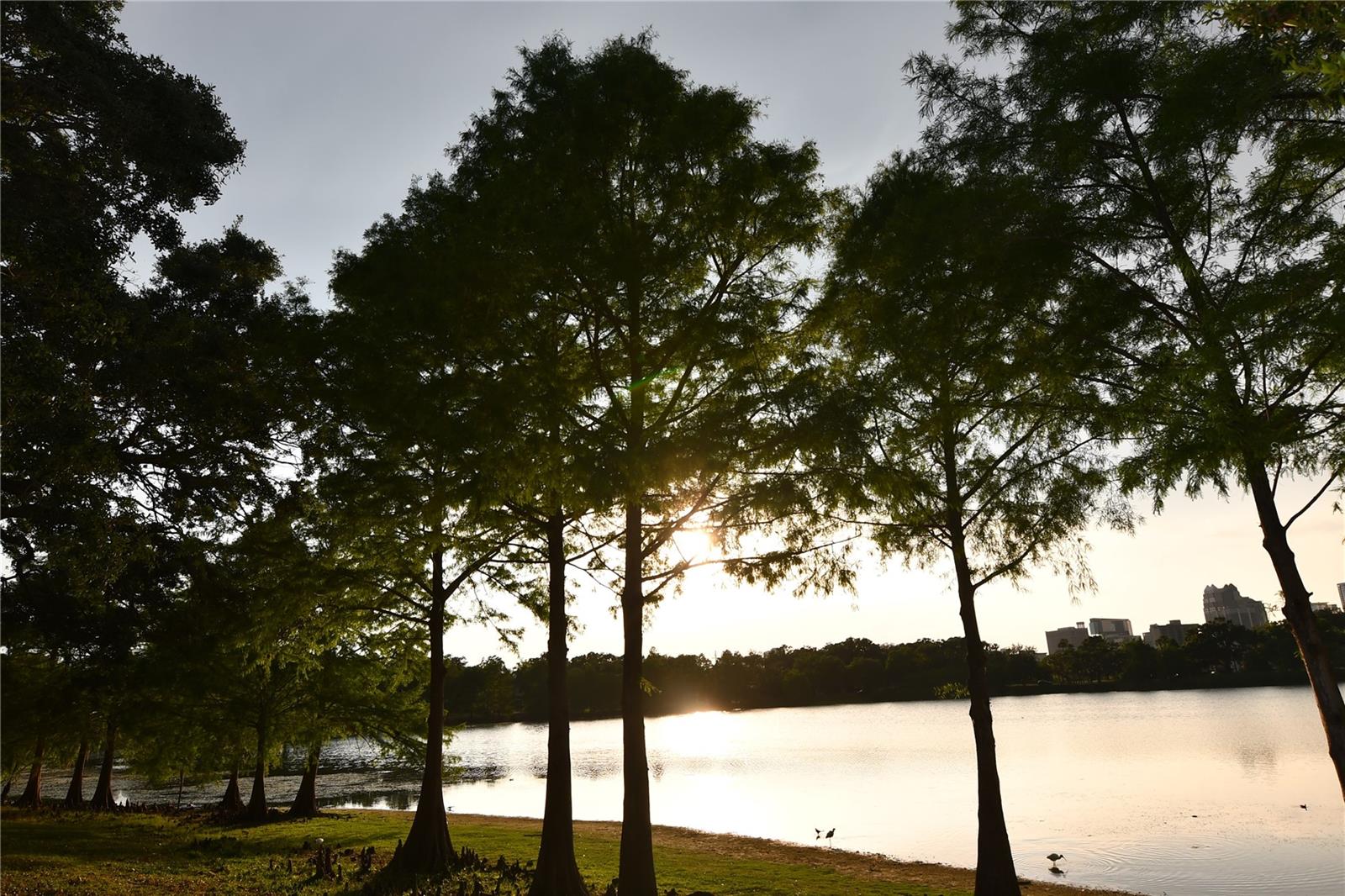 Lake Davis