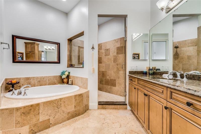 Mini Master Bath Downstairs