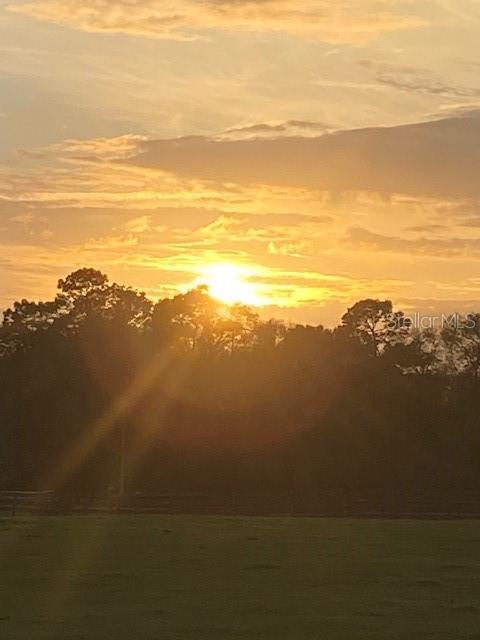 Gorgeous Sun Set 