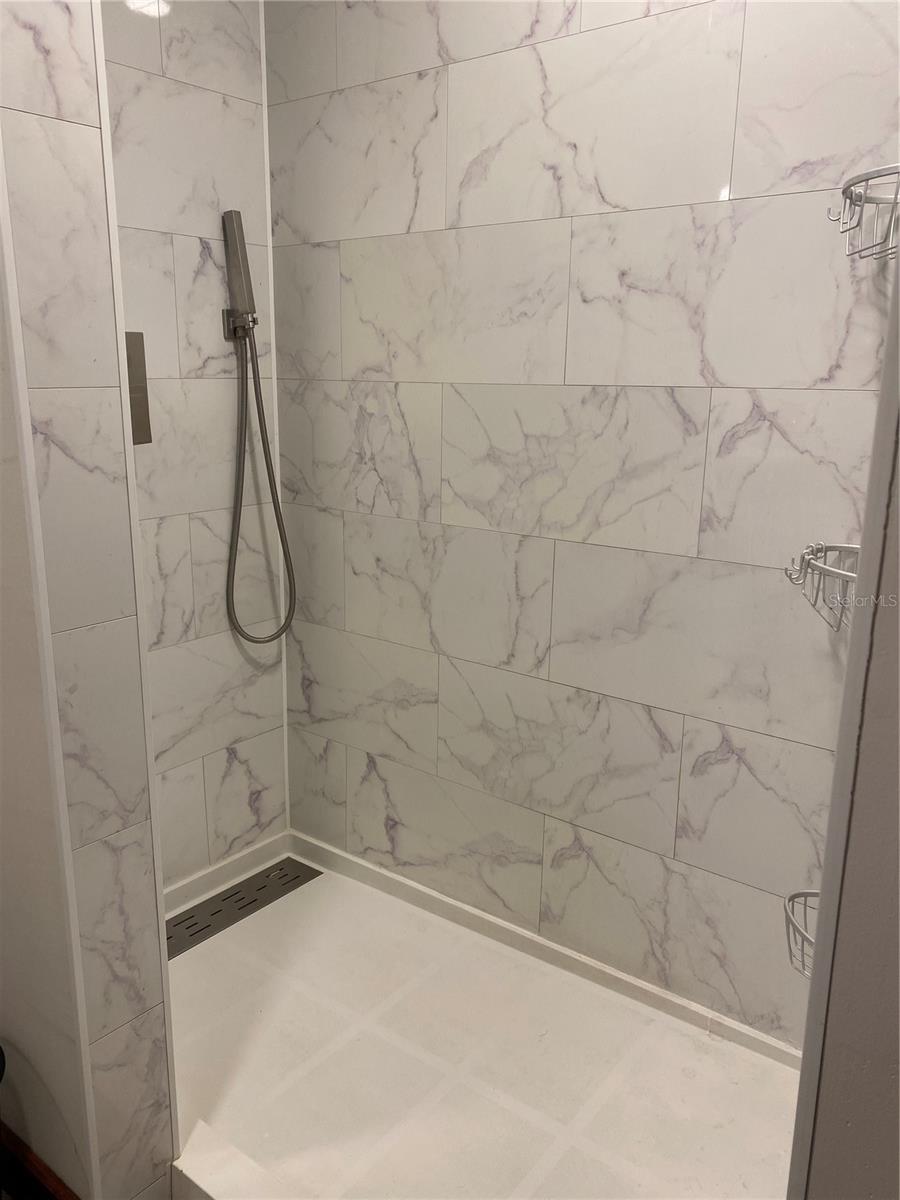 Master shower