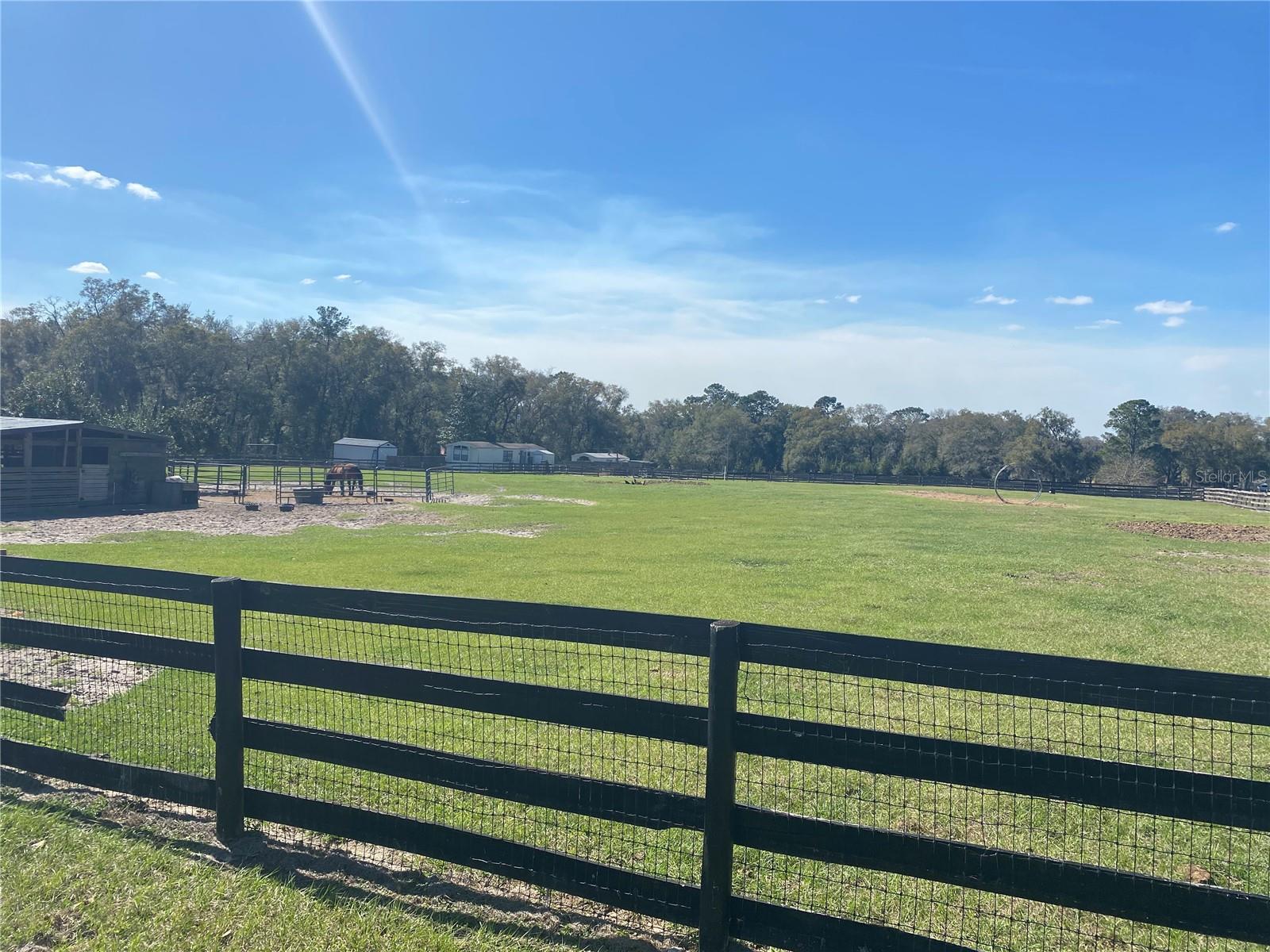 Almost five acres of pasture - four board fence with no climb fence 