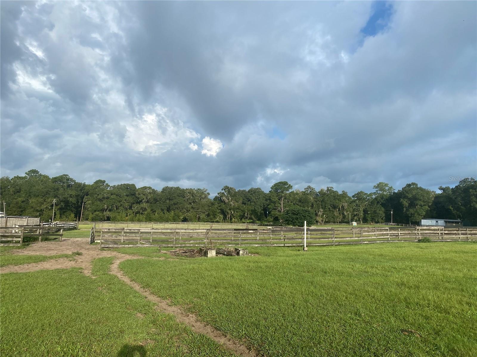 More pasture 