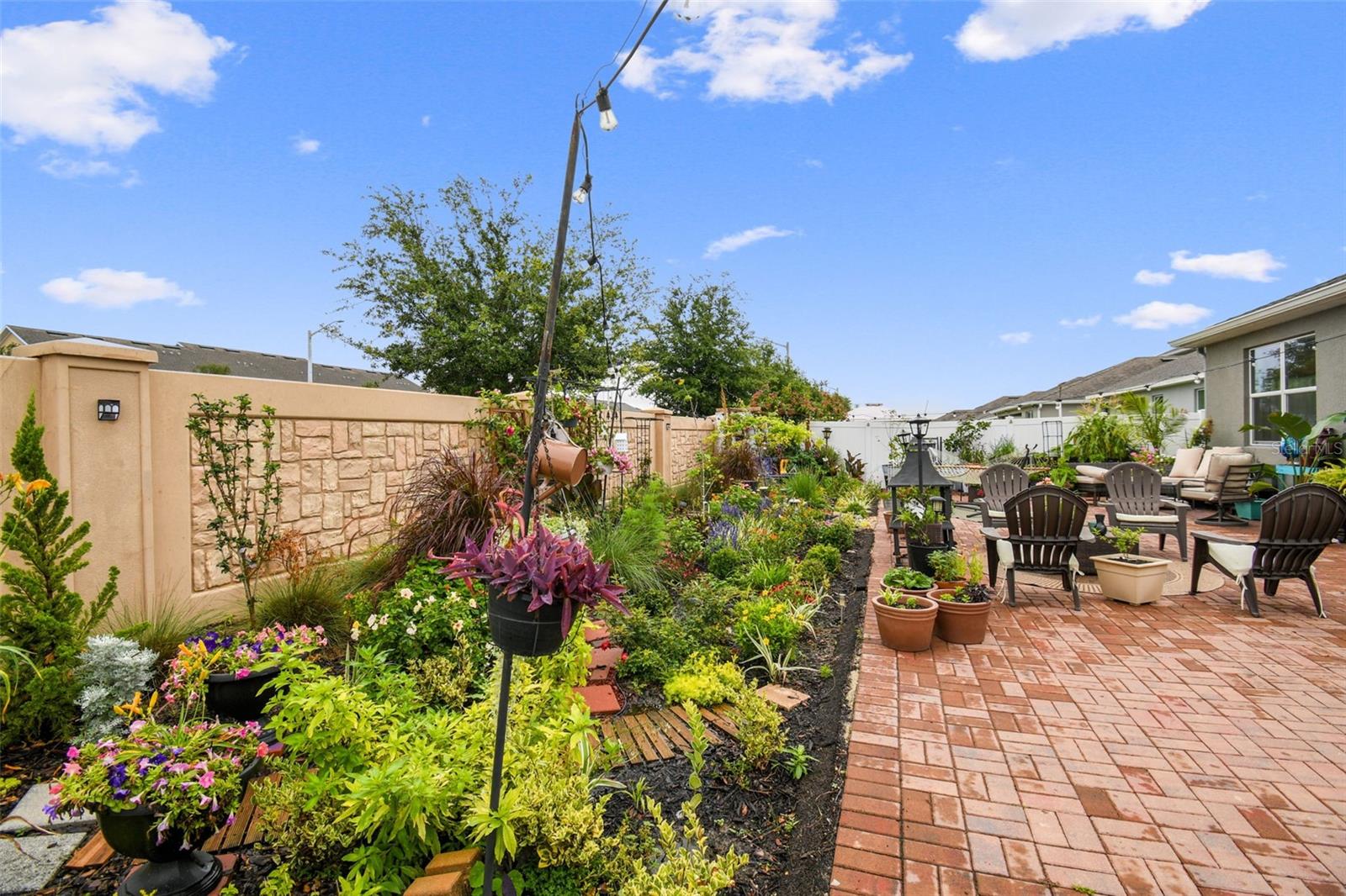 Back yard garden