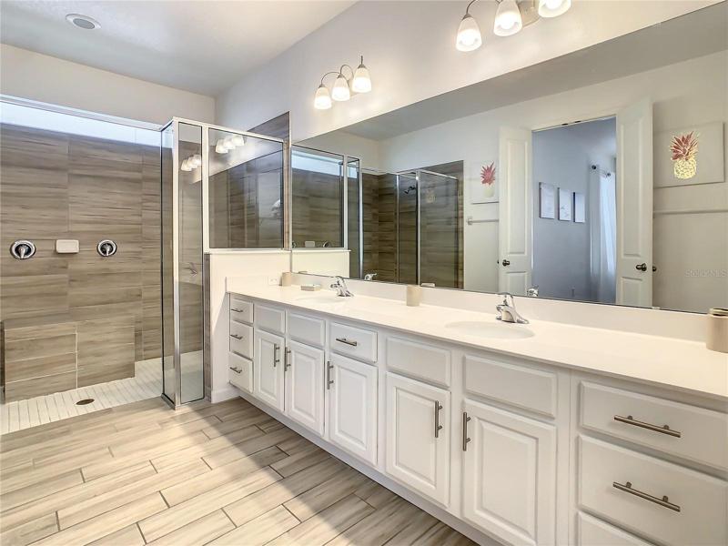 Downstairs Master Bathroom