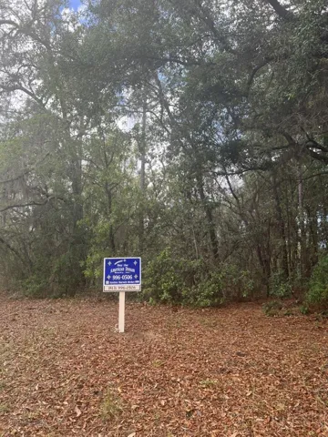 876 Currier Point vacant lot