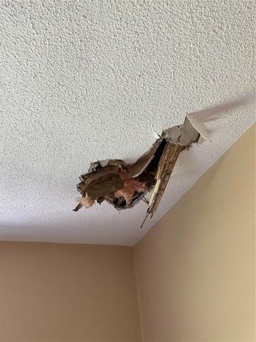 8101 Hixton Dr 2nd bedroom ceiling