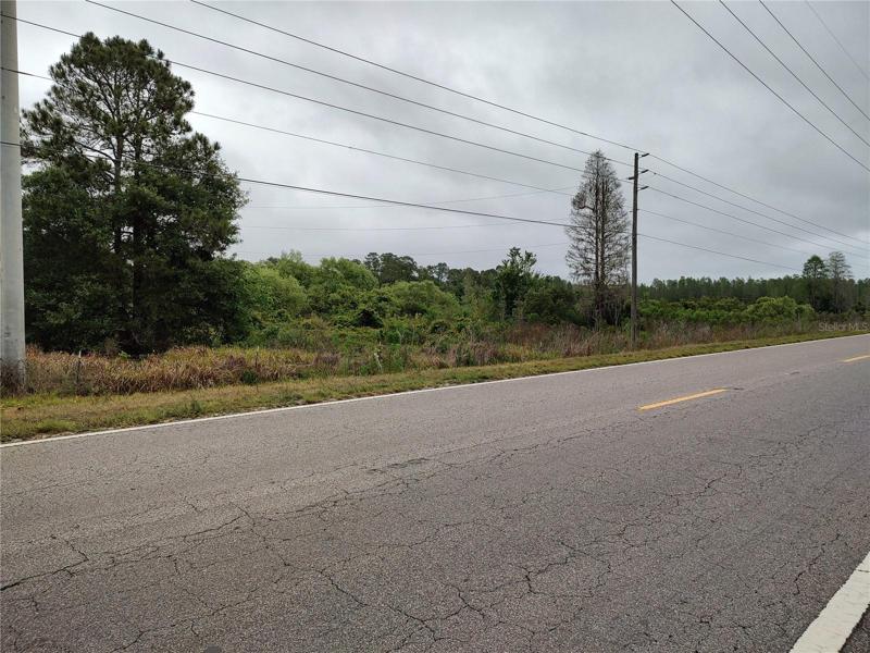 View from County Road 54 over 1,100 feet of road frontage