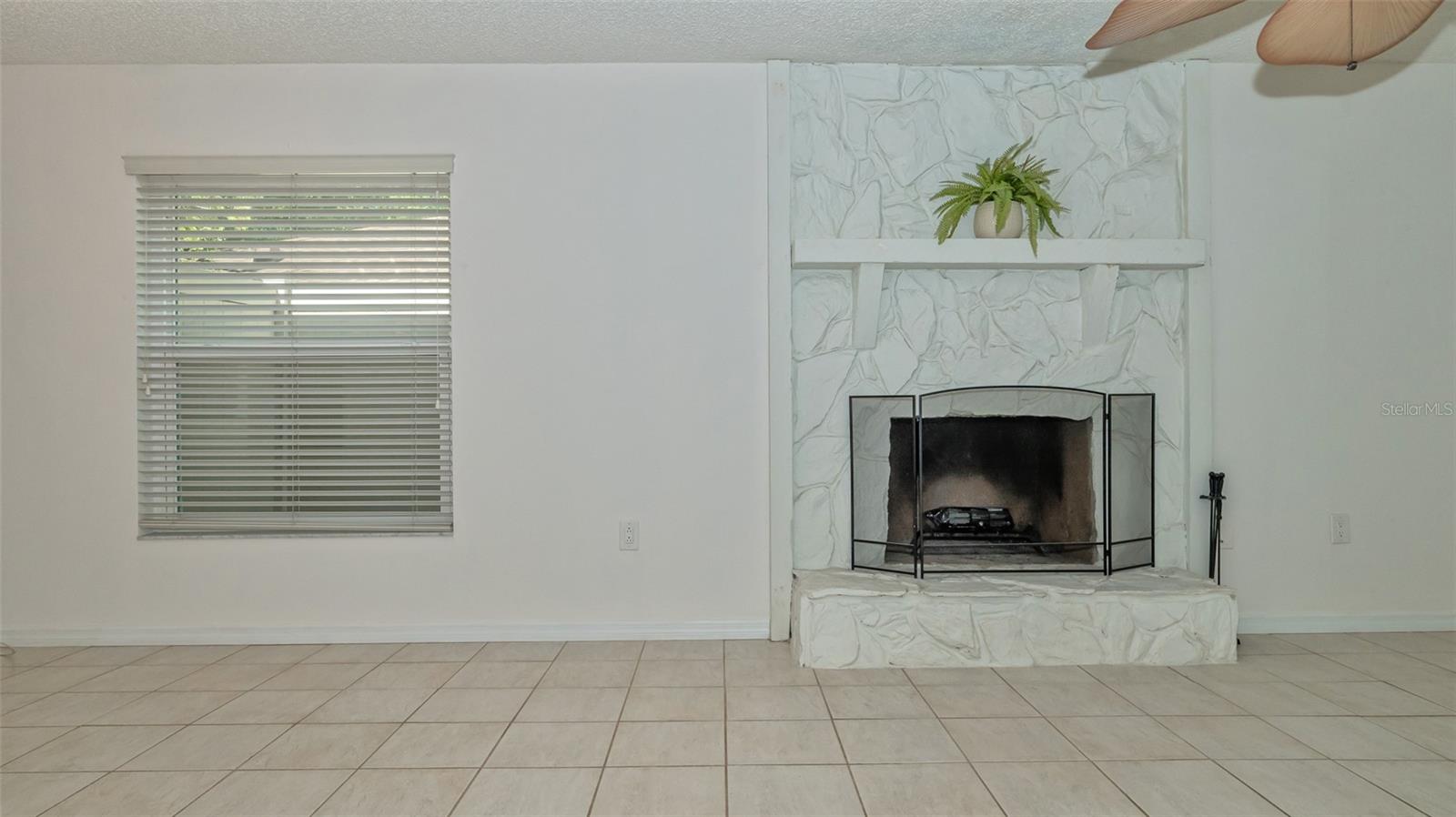 Wood burning fireplace