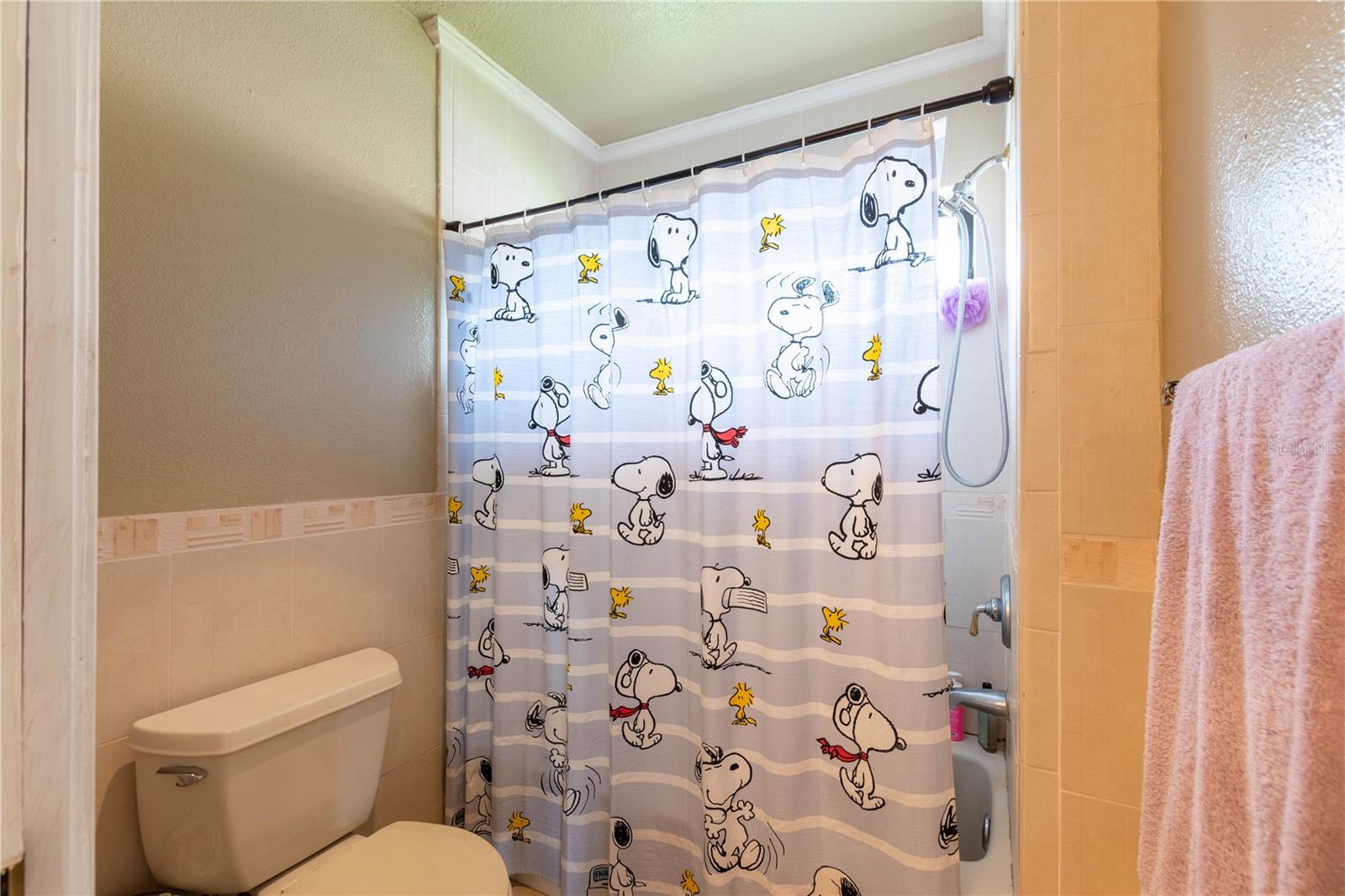 Shower and Tub in Jack and Jill