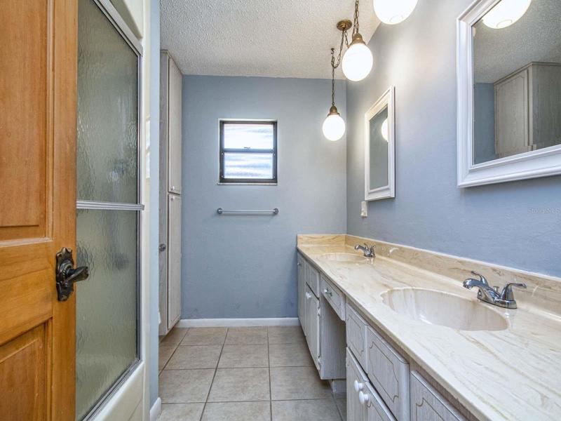 Master bathroom w/step tub/shower combo