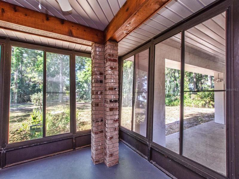 View into the back yard