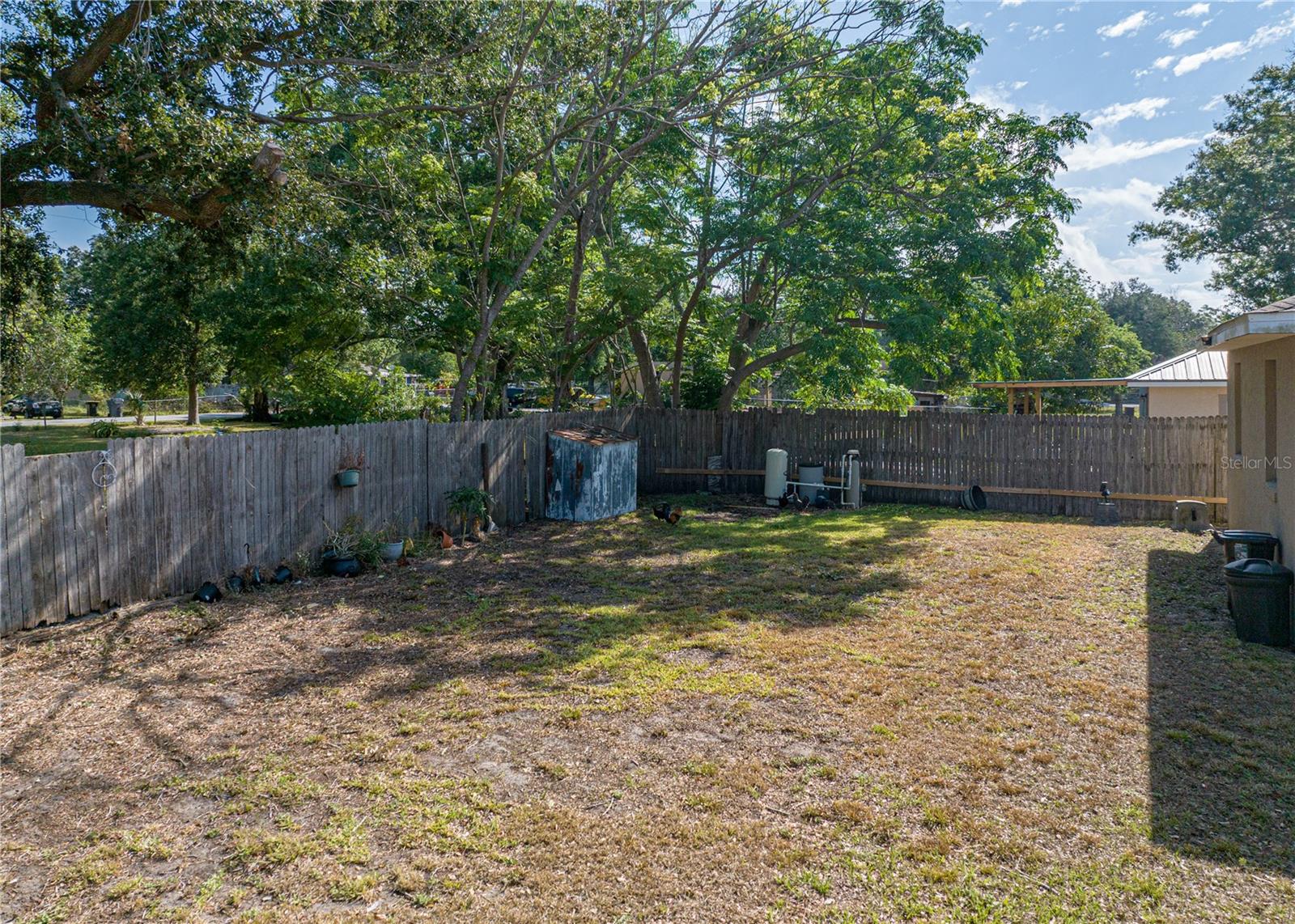 Backyard