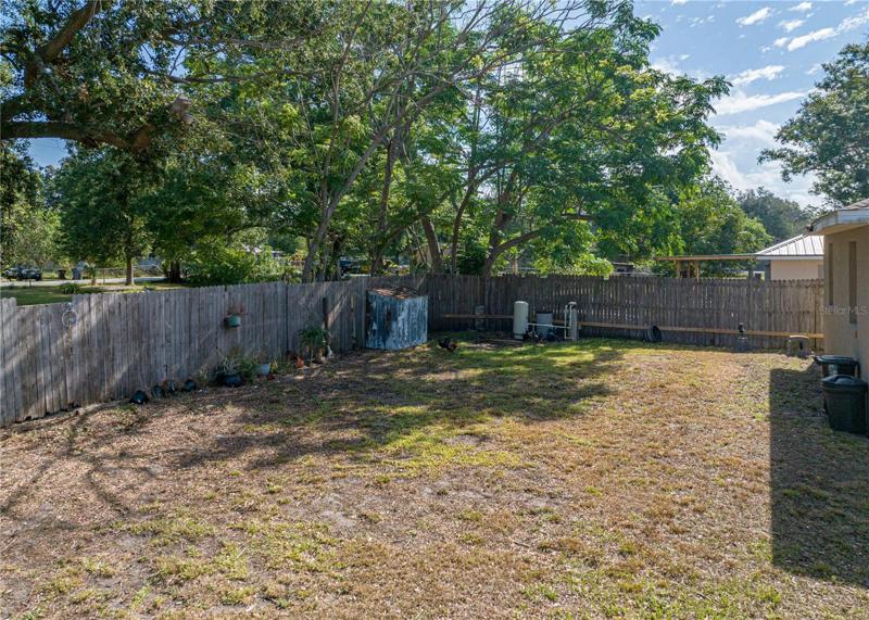 Backyard