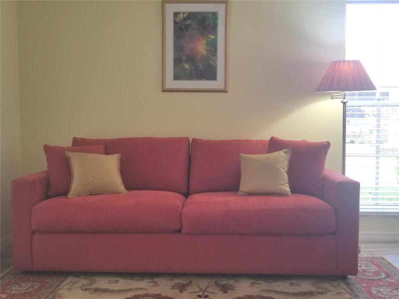 Luxury pull out sofa